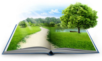 Immagine Ambiente